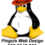 Pinguis Website Design create beautiful Website Design