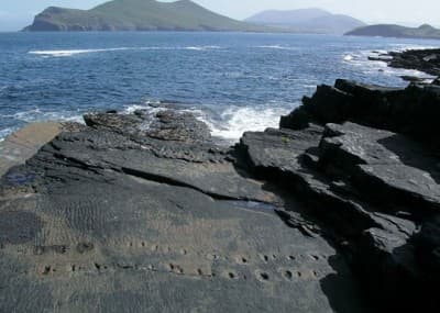 valentia-island-kerry-tetrapod-fossil-tracks